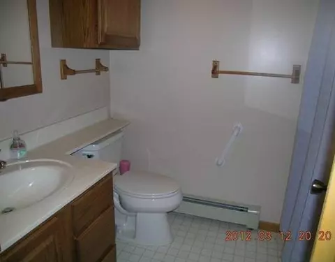 11150 Parks, Munith, MI 49259 photo 11