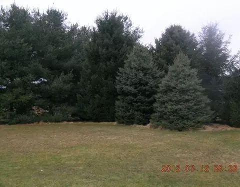 11150 Parks, Munith, MI 49259 photo 5