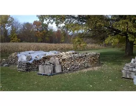 7968 Carlson, Parma, MI 49269 photo 17
