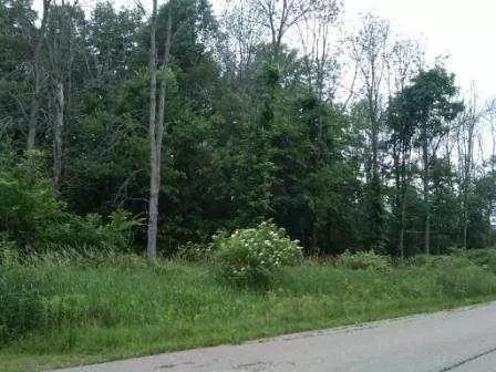 7968 Carlson, Parma, MI 49269 photo 18