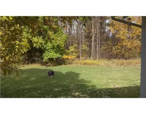 7968 Carlson, Parma, MI 49269 photo 19