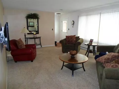 10108 Ostrander, Maybee, MI 48159 photo 9