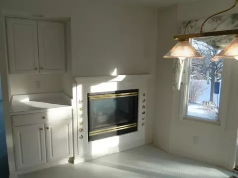 4826 Gifford Ct, Ann Arbor, MI 48103 photo 10