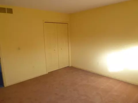 4826 Gifford Ct, Ann Arbor, MI 48103 photo 33