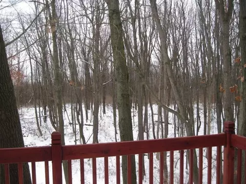 4381 Scott Carpenter, Jackson, MI 49201 photo 30