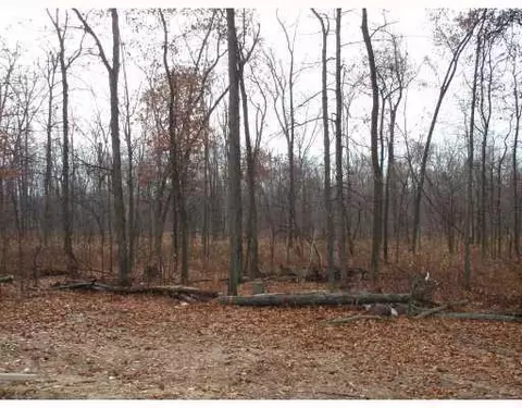 515 Coventry Cir, Dexter, MI 48130 photo 2
