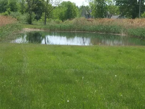7100 Marshall Rd, Dexter, MI 48130 photo 6