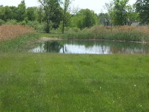 7100 Marshall Rd, Dexter, MI 48130 photo 5