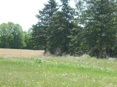 7100 Marshall Rd, Dexter, MI 48130 photo 13