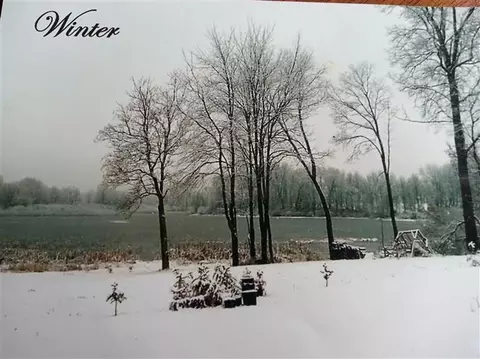 9401 Lee, Grass Lake, MI 49201 photo 16