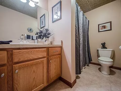 7175 Sanctuary Dr, Jackson, MI 49201 photo 29