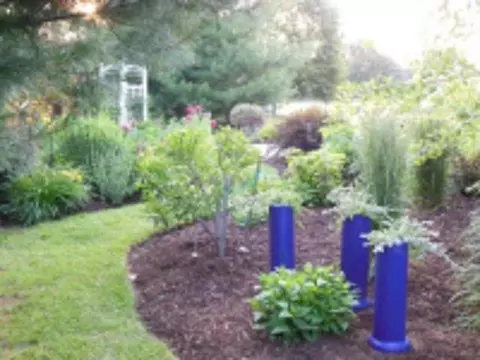 2265 Textile Rd, Saline, MI 48176 photo 33