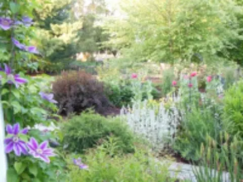 2265 Textile Rd, Saline, MI 48176 photo 41