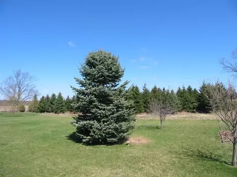 7517 N Pinefield Dr, Dexter, MI 48130 photo 58