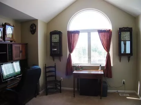 7517 N Pinefield Dr, Dexter, MI 48130 photo 28