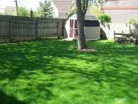 871 N Maple Rd, Ann Arbor, MI 48103 photo 20