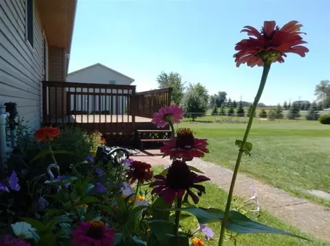 3172 Cobblestone Rdg, Tecumseh, MI 49286 photo 10