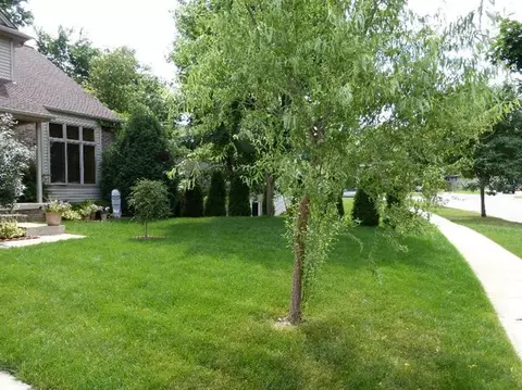 2040 Chestnut Cres, Saline, MI 48176 photo 51