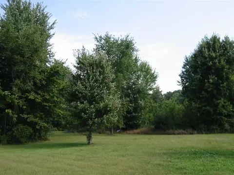10345 Bunton Rd, Willis, MI 48191 photo 26