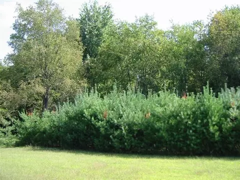 10345 Bunton Rd, Willis, MI 48191 photo 27