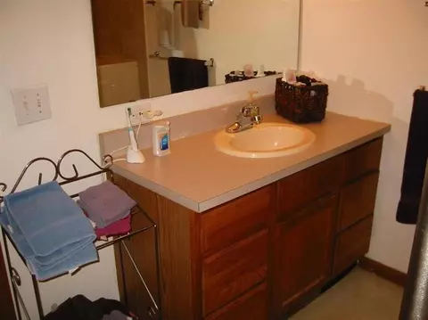 10345 Bunton Rd, Willis, MI 48191 photo 16