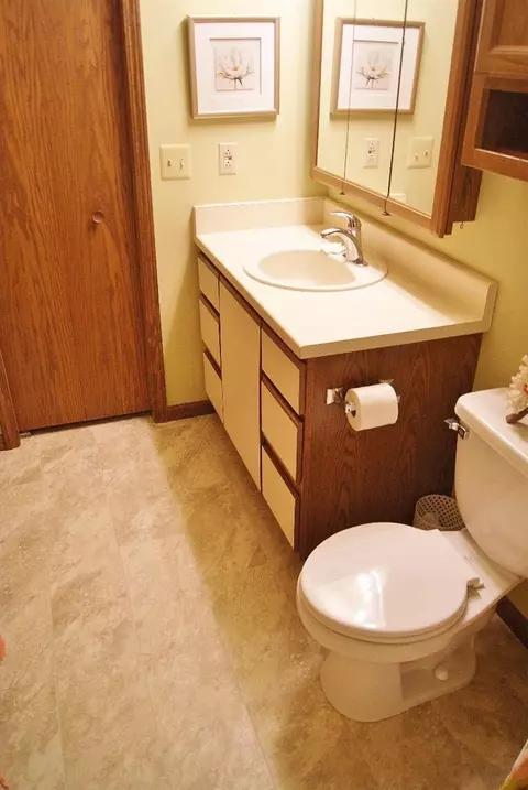 530 Echo Ct, Saline, MI 48176 photo 46