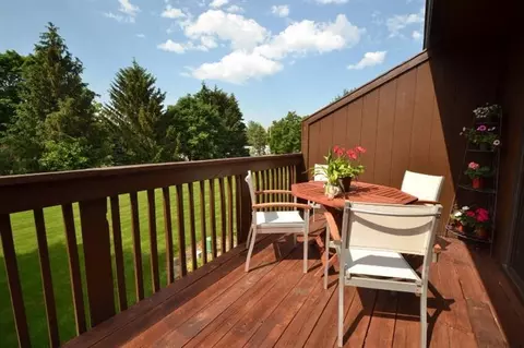 530 Echo Ct, Saline, MI 48176 photo 60