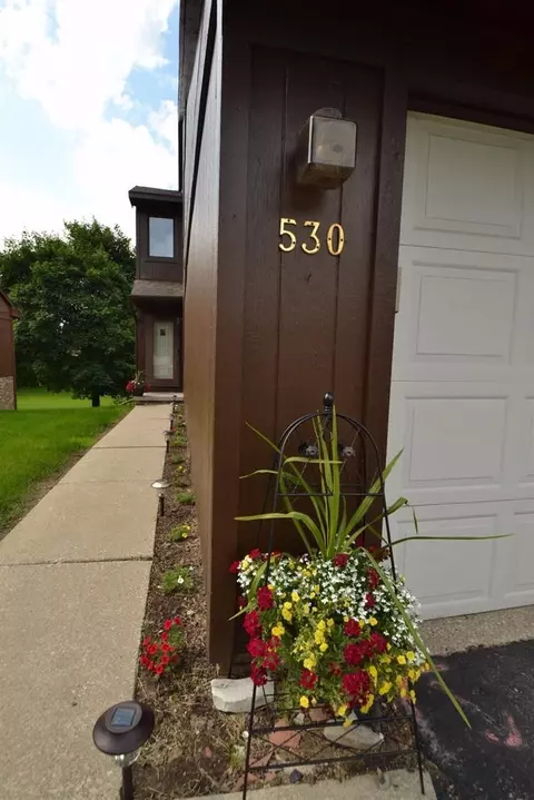 530 Echo Ct, Saline, MI 48176 photo 51