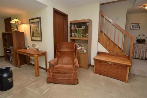 530 Echo Ct, Saline, MI 48176 photo 27
