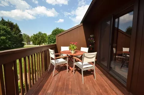 530 Echo Ct, Saline, MI 48176 photo 59