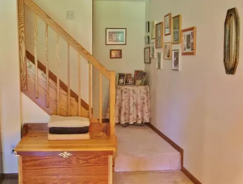530 Echo Ct, Saline, MI 48176 photo 30
