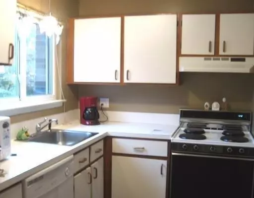  219 N Maple Rd, Saline, MI 48176 photo 3