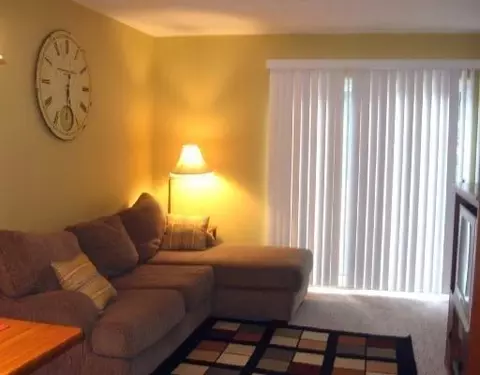 219 N Maple Rd, Saline, MI 48176 photo 4