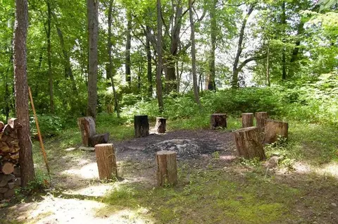 8221 Trail Rdg, Dexter, MI 48130 photo 35