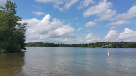 7535 Walsh Rd, Dexter, MI 48130 photo 5