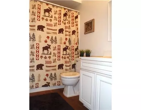 714 Sciomeadows Dr, Ann Arbor, MI 48103 photo 5