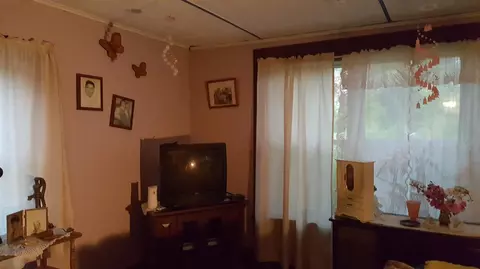 9984 Smith Rd, Britton, MI 49229 photo 10