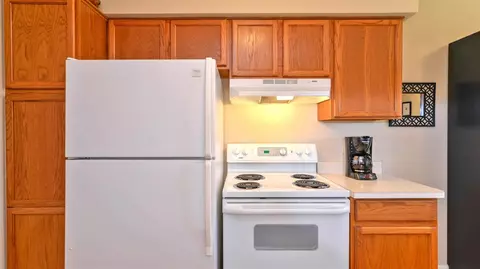 175 Commons Cir, Saline, MI 48176 photo 13