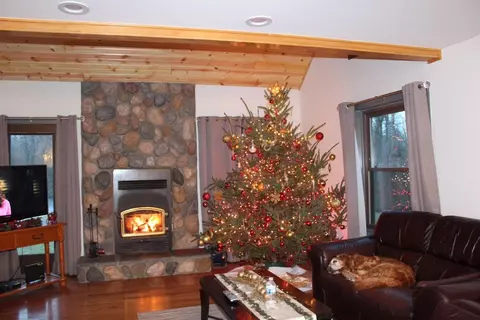 7706 Pingree, Pinckney, MI 48169 photo 15