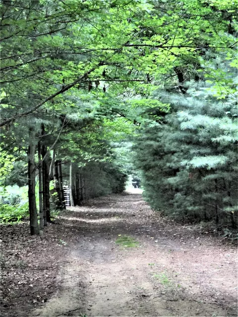 12169 Oelke Rd, Maybee, MI 48159 photo 25