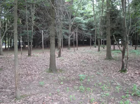12169 Oelke Rd, Maybee, MI 48159 photo 32