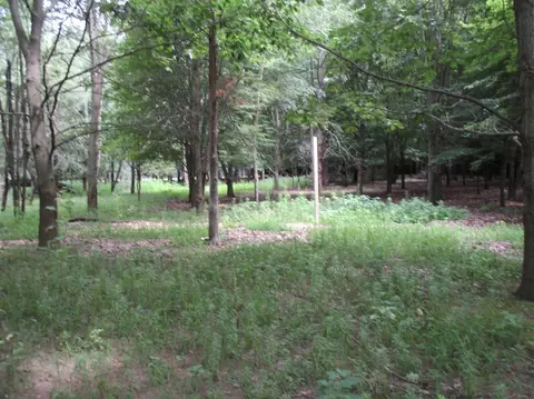 12169 Oelke Rd, Maybee, MI 48159 photo 31