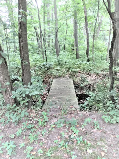 12169 Oelke Rd, Maybee, MI 48159 photo 37