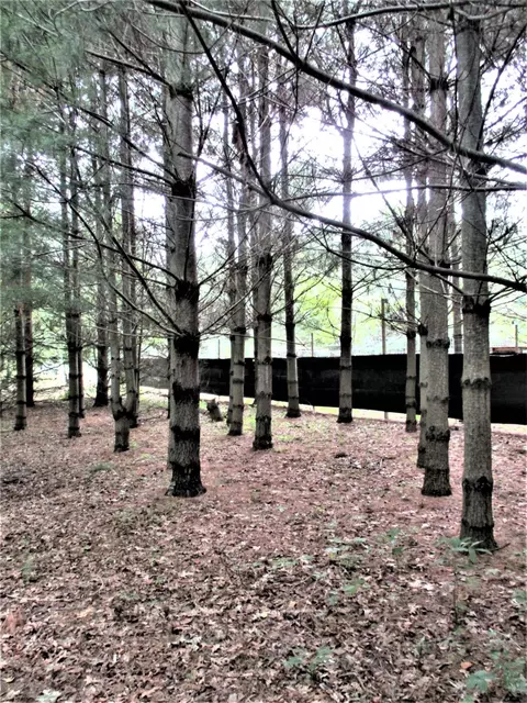 12169 Oelke Rd, Maybee, MI 48159 photo 30