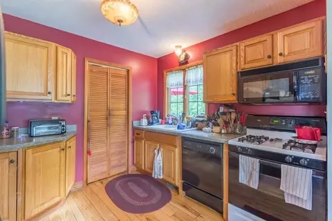 12280 Musbach Rd, Munith, MI 49259 photo 15
