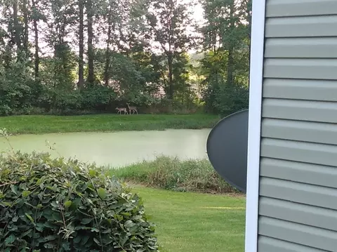 5478 Bradley, Gregory, MI 48137 photo 69