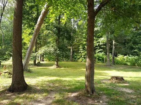 5478 Bradley, Gregory, MI 48137 photo 22