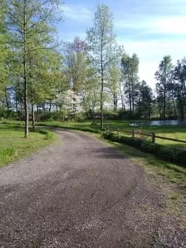 5478 Bradley, Gregory, MI 48137 photo 17