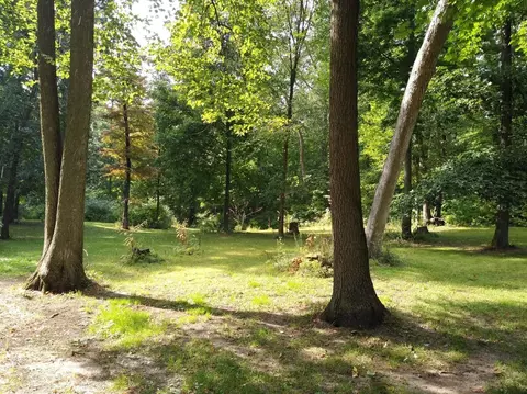 5478 Bradley, Gregory, MI 48137 photo 5
