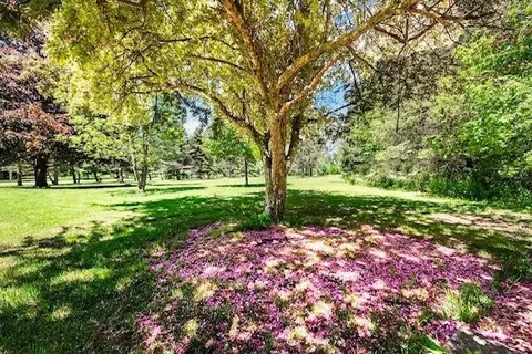 2382 Weber Dr, Dexter, MI 48130 photo 52